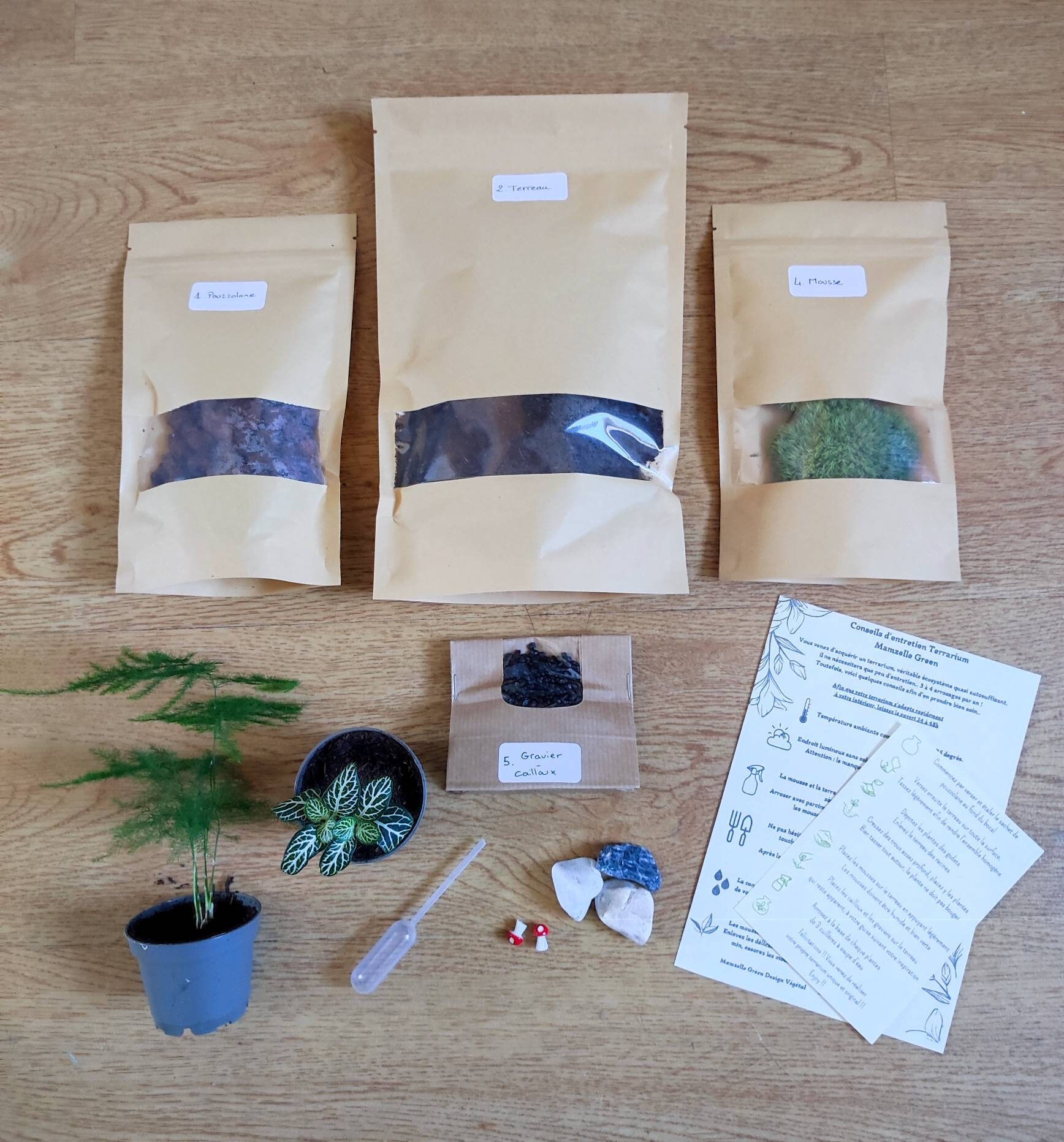 Kit Terrarium Diy ou Kit de Rempotage Format S