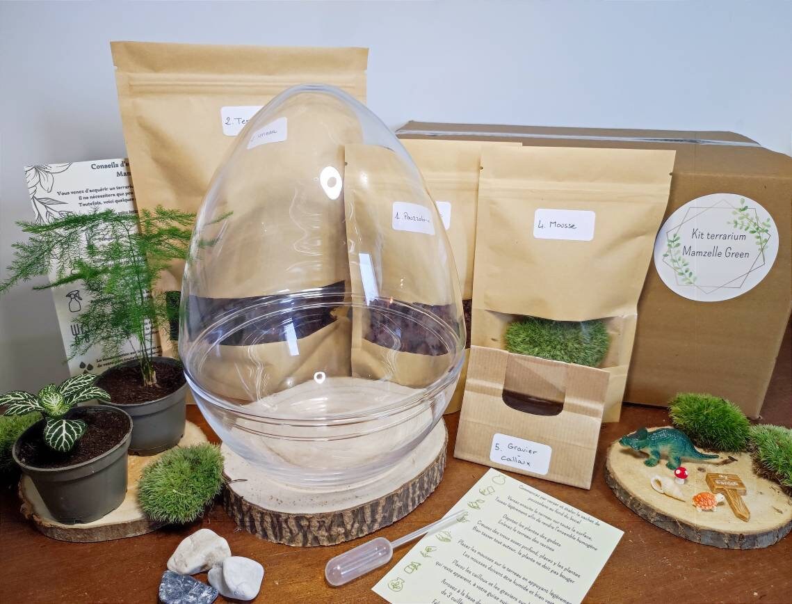 Kit Terrarium Diy Dino - Création Étape Par Bocal en Verre Forme Oeuf