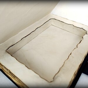 May include: Open book with a hidden compartment carved into the pages. The pages have a distressed, aged appearance with burnt edges, suggesting a vintage or antique aesthetic. The book is bound in black.