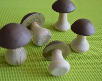 Champignons brun (cèpes )  "dinette"