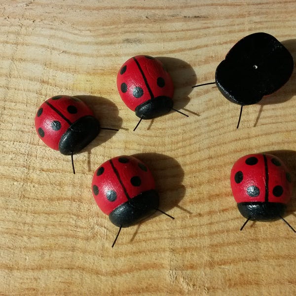 Petites coccinelles rouge et noir en bois peint.