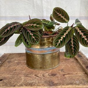 Vintage Brass and Copper Planter Round