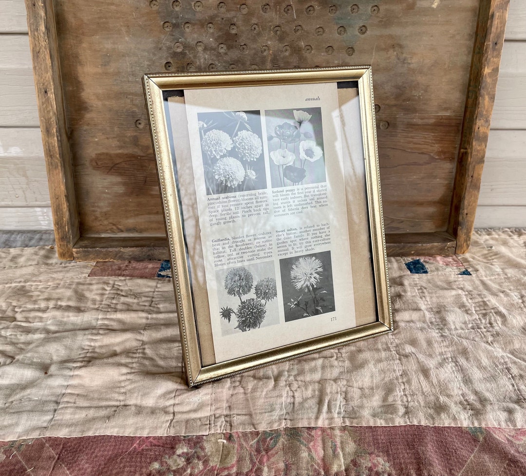 Vintage Gold Picture Frame - Etsy