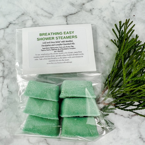 Camphor and Eucalyptus 6 Tablet Bag Shower Steamers, Menthol Shower, Get Well Soon Gift, Aromatherapy Spa Gift, Fizzy, 100% Essential Oils