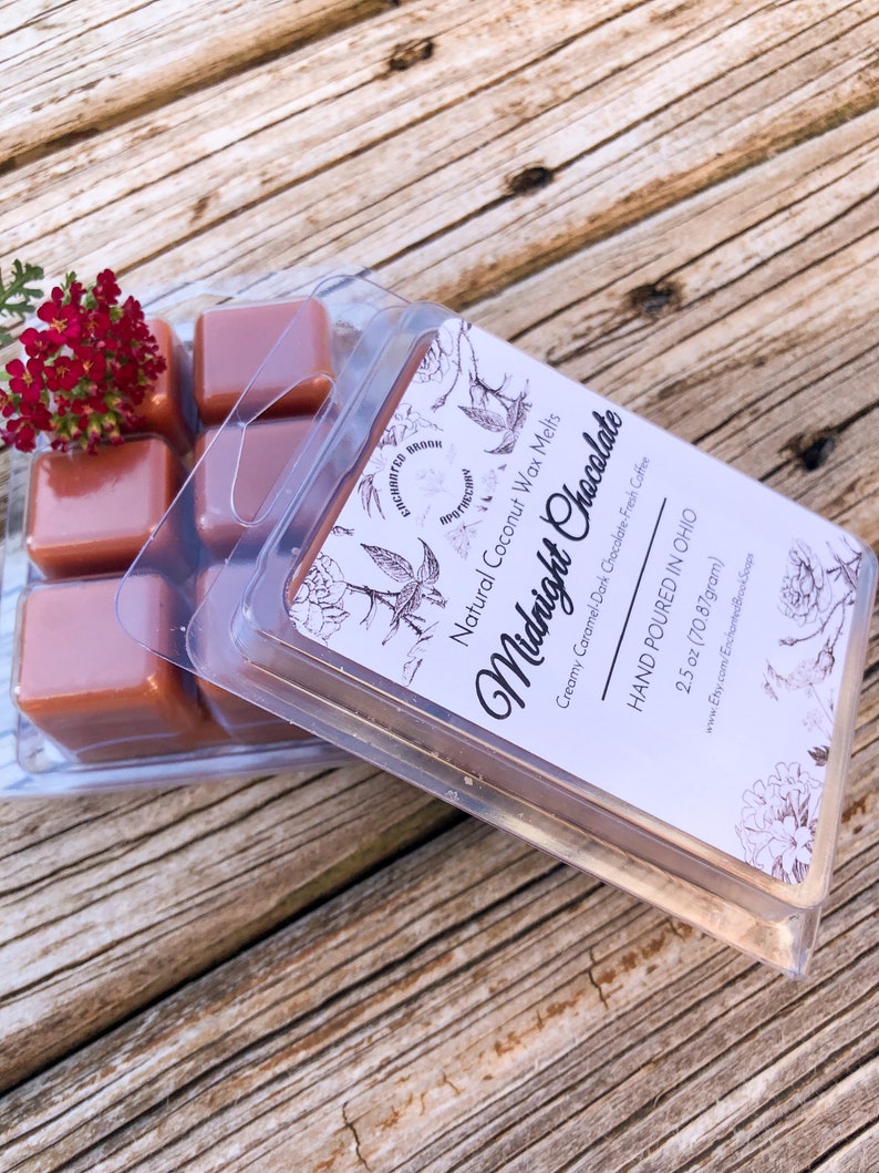 Choose Your Scent Vegan and All Natural Coconut Wax Melts Etsy