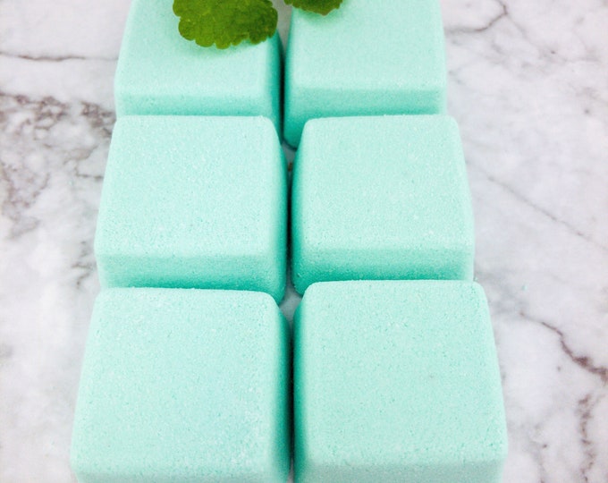 Peppermint and Eucalyptus 6 Tablet Shower Steamers, Fresh Shower Fizzy, Minty Shower Bombs with Menthol, Natural oil Shower Melts, Tablet