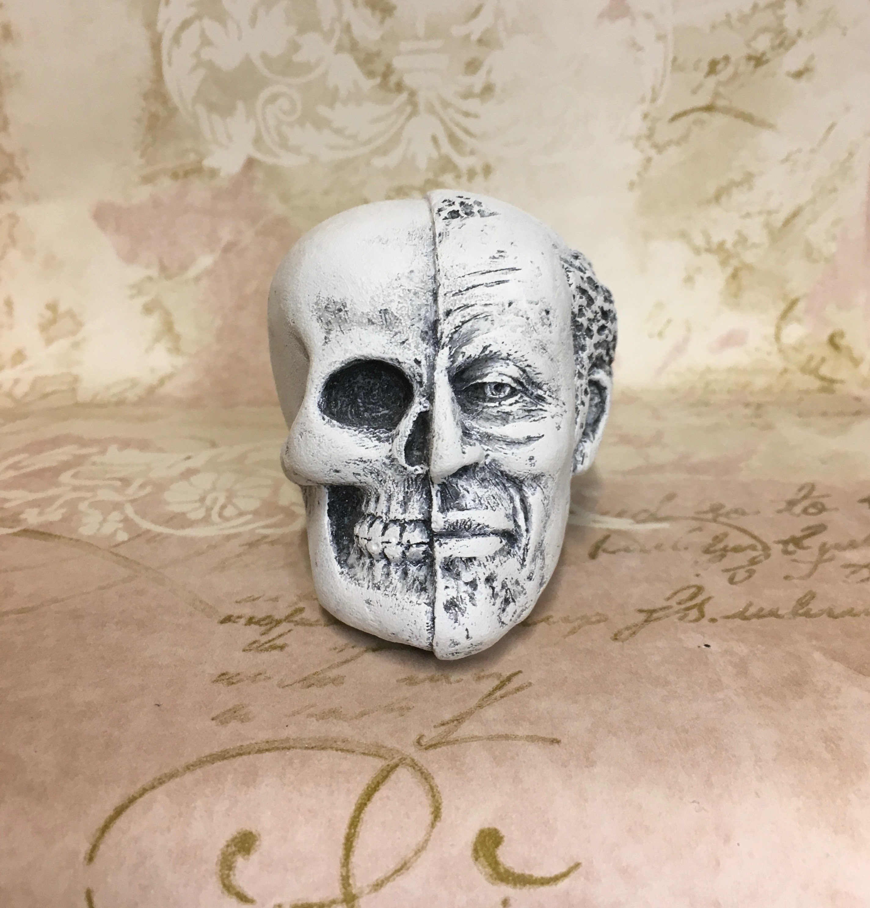 Memento Mori Half Skull Half Face Head Paperweight Etsy