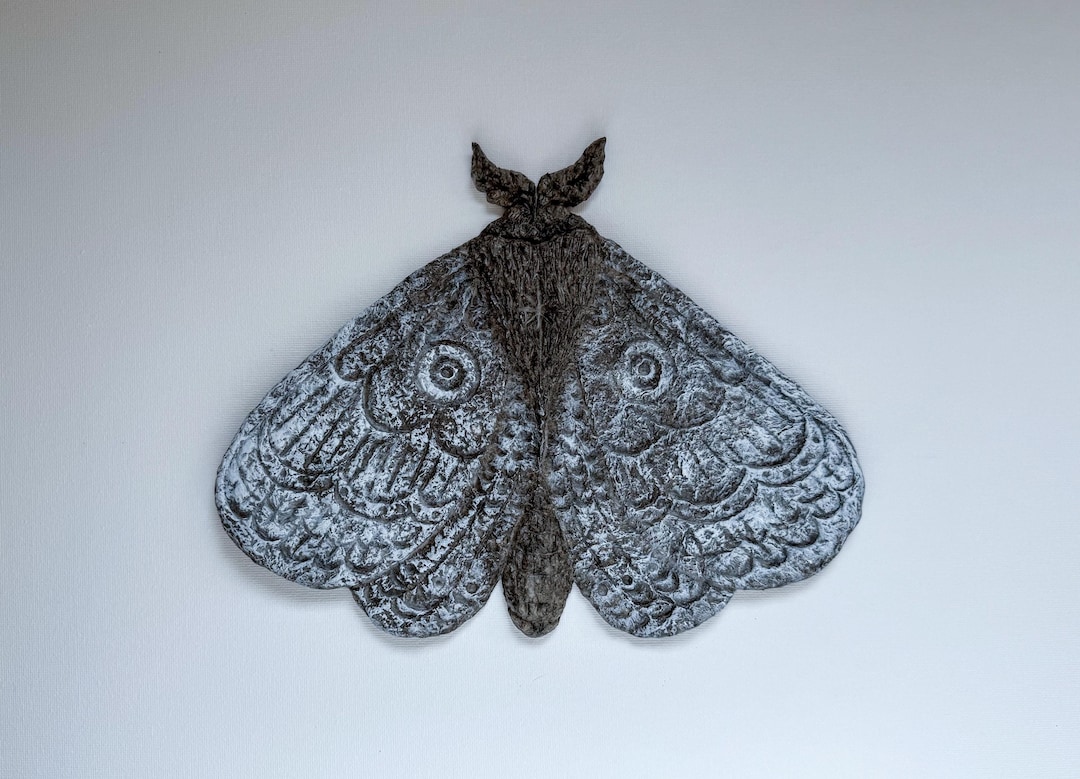Moth Wall Sculpture – Handcrafted Nature-inspired Wall Art - Etsy