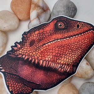 Bearded Dragon Dicut Vinyl sticker- matte vinyl sticker- bearded dragon sticker- bearded dragon head- waterbottle sticker- laptop sticker