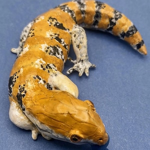 Blue Tongue Skink Figure- Blue Tongue Skink desk art- Blue Tongue Skink statue- Lizard Art- Lizard Desk Pets- Blue tongue Skink lovers