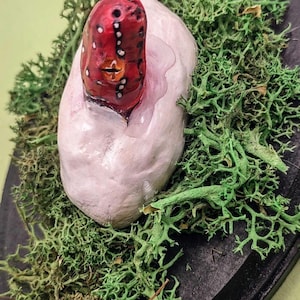 May include: A small, red and white creature with a face emerges from a white egg, surrounded by green moss on a black circular base.