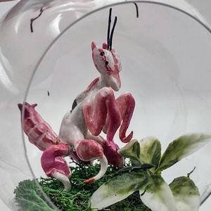 Orchid Mantid Figurine- Orchid Mantid art- Orchid mantid terrarium- Mantis terrarium- orchid mantid art- Orchid mantis- mantis Art- mantis