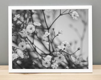 Black and White Baby's Breath Printable Art Photography