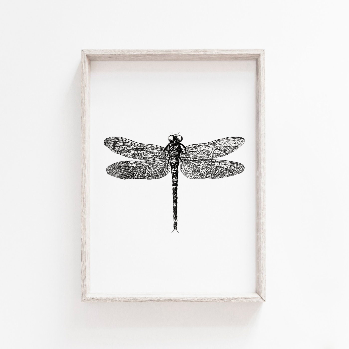 C Home Decor Wall Art Poster Dragonfly Insects It Is Art/Canvas Print C Home Decor Wall Art Poster Dragonfly Insects It Is Art/Canvas Print