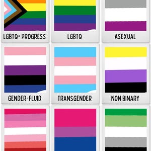 Puede incluir: Una cuadr&iacute;cula de nueve impresiones cuadradas con varias banderas del orgullo. Cada impresi&oacute;n muestra un patr&oacute;n de bandera distinto con su etiqueta correspondiente: LGBTQ+ PROGRESS, LGBTQ, ASEXUAL, GENDER-FLUID, TRANSGENDER, NON BINARY, LESBIAN, BISEXUAL y AROMANTIC.