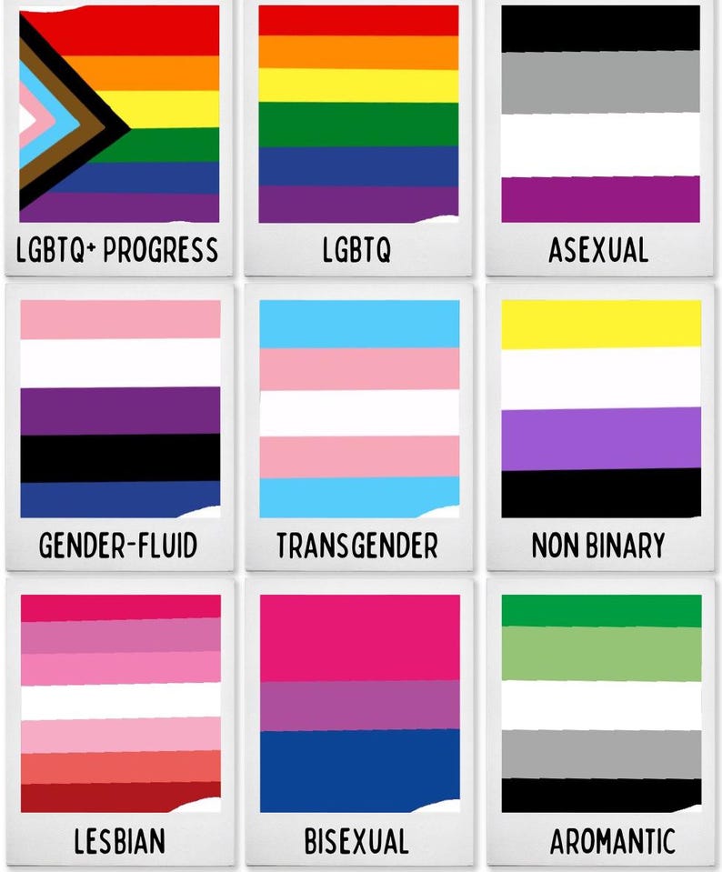 Puede incluir: Una cuadr&iacute;cula de nueve impresiones cuadradas con varias banderas del orgullo. Cada impresi&oacute;n muestra un patr&oacute;n de bandera distinto con su etiqueta correspondiente: LGBTQ+ PROGRESS, LGBTQ, ASEXUAL, GENDER-FLUID, TRANSGENDER, NON BINARY, LESBIAN, BISEXUAL y AROMANTIC.