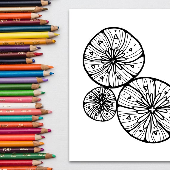 Cactus And Succulent Coloring Page Instant Download Printable Coloring Cactus Flower Cactus Coloring Printable Coloring Page