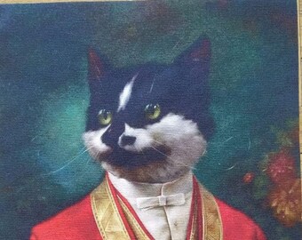 Chat habille sale