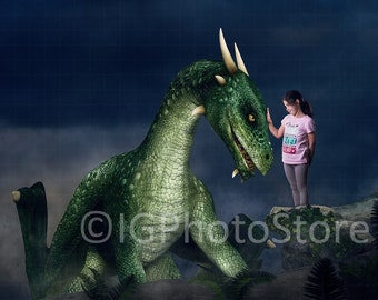 Dragon Digital Background, Pet Dragon Backdrop, Dragon by Rocks, Princess and Dragon Digital Prop, Composite Photography, Fantasy Portraits