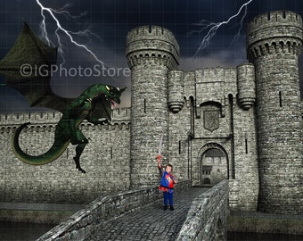 Dragon Digital Backdrop, Fantasy Castle Background, Dragon Overlay, Castle Backdrops, Photoshop Backdrops, Photoshop Overlays, Dragon PNG