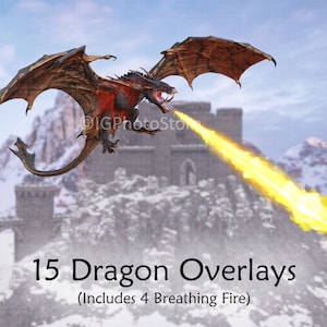 Dragon Digital Overlays, Wyvern Overlays, Transparent PNG Dragons, Fantasy Dragon Clip Art for Composite Photography, Digital Art and Design