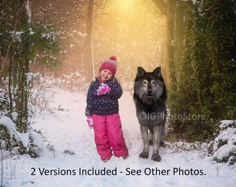 Wolf in Winter Forest Fondos digitales, 2 fondos de bosque nevado con lobos, fondos de lobo en el bosque para fotografía compuesta