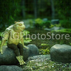 Kiss Frog Prince Digital Backdrop, Princess and Frog Digital Background ...
