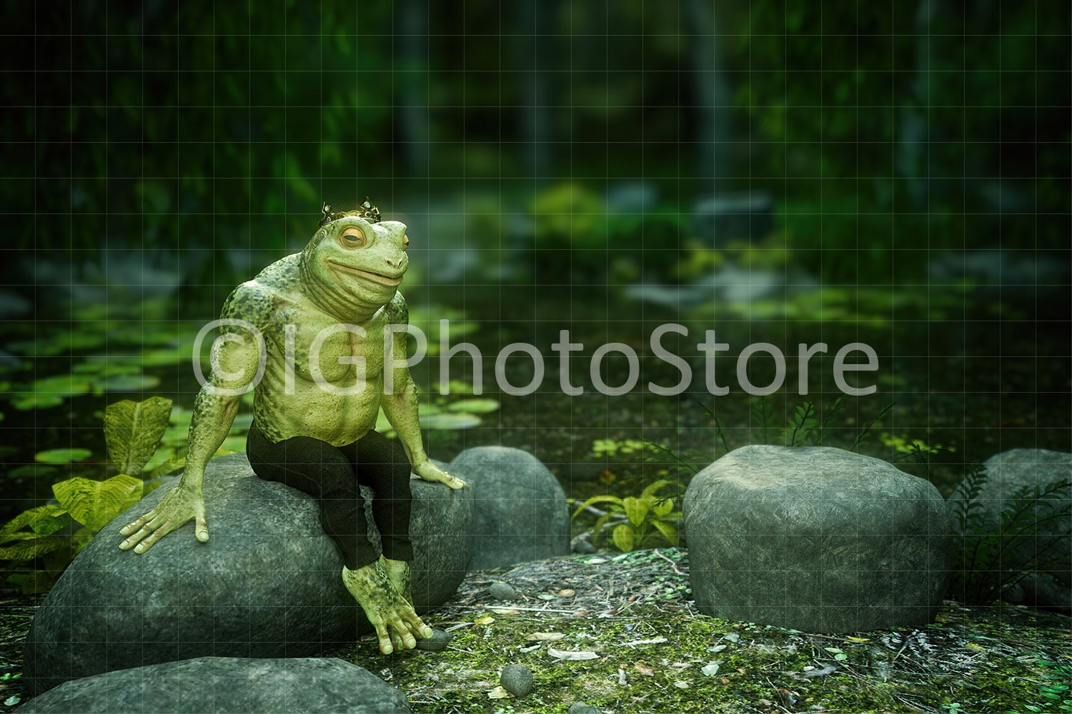 Kiss Frog Prince Digital Backdrop Princess and Frog Digital - Etsy