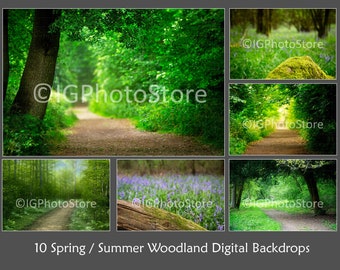 10 Woodland Digital Backdrops, Dreamy Summer Backdrops, Spring Backdrops, Forest Backgrounds, Bluebell Woods, Backgrounds for Photographers