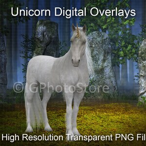 15 Digital Unicorn Overlays, PNG Unicorns, Photoshop Overlays, Unicorn Clipart, PNG Overlays, Fantasy Creatures, Compositing, Digital Art