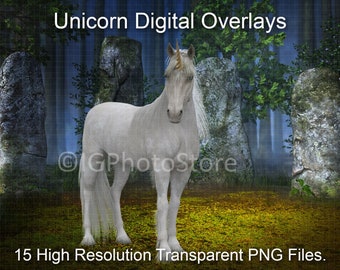 15 Digitale Einhorn Overlays, PNG Einhörer, Photoshop Overlays, Einhorn Clipart, PNG Overlays, Fantasy Creatures, Compositing, Digital Art