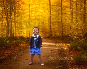 Fall Forest Digital Backdrops, Path Through Woods in Autumn, Dreamy Golden Background for Portrait Photography, Fall Trees Backdrop