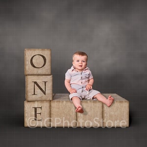 First Birthday Digital Backdrop, One Year Digital Background, 12 Months Baby Digital Studio Prop, Babies Digital Background for Boy or Girl