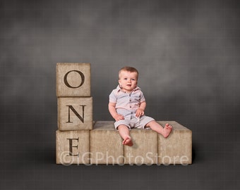 First Birthday Digital Backdrop, One Year Digital Background, 12 Months Baby Digital Studio Prop, Babies Digital Background for Boy or Girl