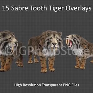 Sabre Tooth Tiger Digital Overlays, Sabre-Toothed Tigers, Clipart for Compositing, Scrapbooking, Digital Art, Junk Journal, Transparent PNG