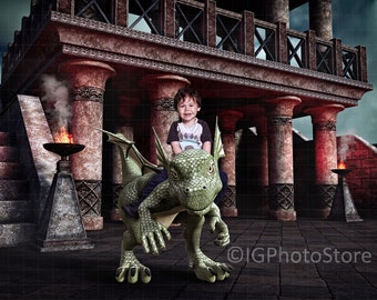 Digital Background, Baby Dragon Background, Fantasy Background, Dragon Overlay, Digital Backdrop, Photoshop Background, Fantasy Backdrop