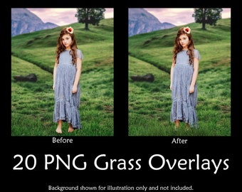 Grass-overlays, transparant PNG-digitaal gras voor samengestelde fotobewerkingen, digitale kunst en design