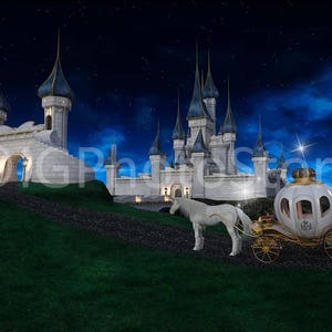 May include: A white horse-drawn carriage with a white and gold design, pulled by a white horse, is parked in front of a white castle with blue towers under a starry night sky.