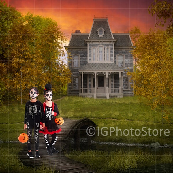 Halloween Haunted House Digital Backdrop, Halloween Digital Background for Composite Photography, Horror Movie House in the Woods