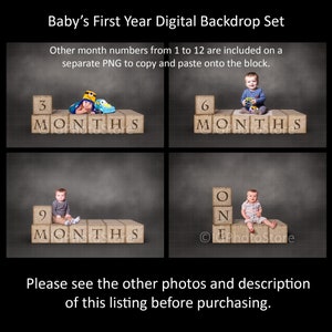 Baby's First Year Layered Digital Backdrops, 3 6 9 12 Months, Month Milestone, One Year Baby Portrait Backgrounds, Babies Photo Studio Props