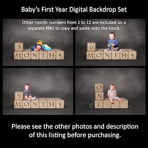 Fondos digitales en capas del primer año del bebé, 3 6 9 12 meses, hito del mes, fondos de retratos de bebés de un año, accesorios de estudio fotográfico para bebés