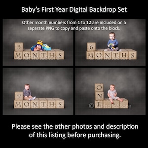 Baby's First Year Layered Digital Backdrops, 3 6 9 12 Months, Month Milestone, One Year Baby Portrait Backgrounds, Babies Photo Studio Props