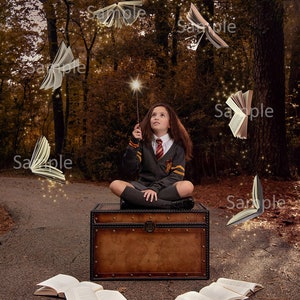 Flying Book Overlays, Transparent PNG Books, Digital Photography Overlays , Photoshop Overlays, Flying Books for Magical Composite Photos image 3