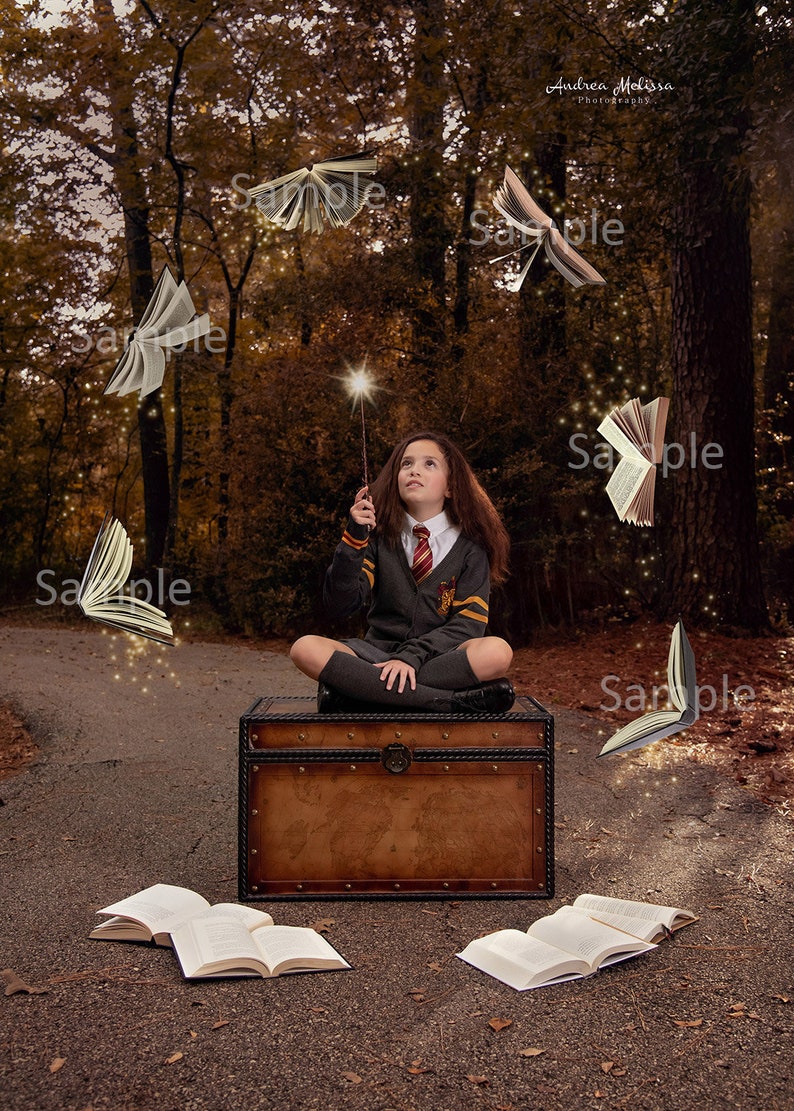 Flying Book Overlays, Transparent PNG Books, Digital Photography Overlays , Photoshop Overlays, Flying Books for Magical Composite Photos image 3