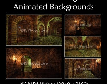 Animated Medieval Dungeon Backgrounds, Green Screen Backdrops (4K MP4)