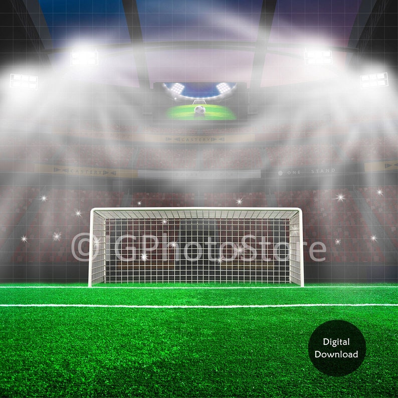 May include: A soccer goal with a green field in front of it. The goal is in a stadium with a large crowd of people in the background. The stadium is lit up with spotlights.
