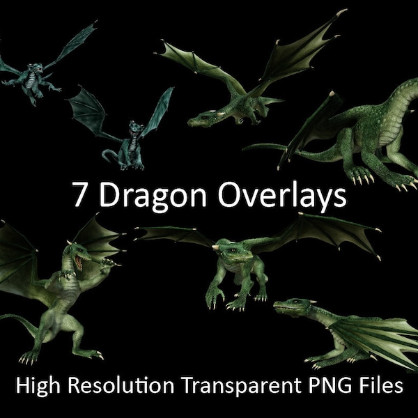 Dragon Overlays, 7 PNG Dragons, Photoshop Overlays, Dragon Clipart, PNG Overlays, Fantasy Creatures, Digital Dragons, GOT Dragon Overlay