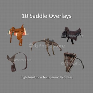 Saddle Digital Overlays, Dinosaur Saddles, Transparent PNG, Digital Photography Overlays, Photoshop Overlays for Compositing and Digital Art
