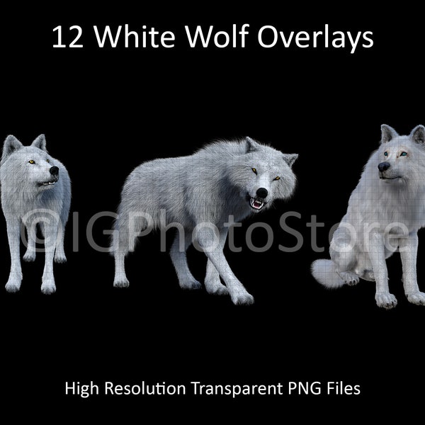 White Wolf Overlays, 12 PNG White Wolves, Animal Overlays, Wolf PNG, Wolf Clipart for Composite Photography, Scrapbooking and Digital Art