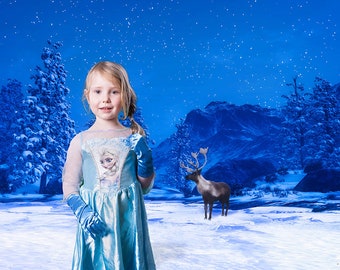 Frozen Winter Landscape Digital Background, Snow Scene Backdrop for Composite Portraits, Princess Cosplay Digital Backdrop